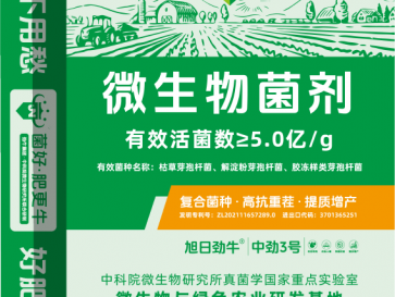 中勁3號·5億粉劑