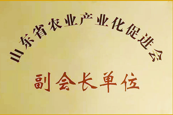 榮譽(yù)資質(zhì)