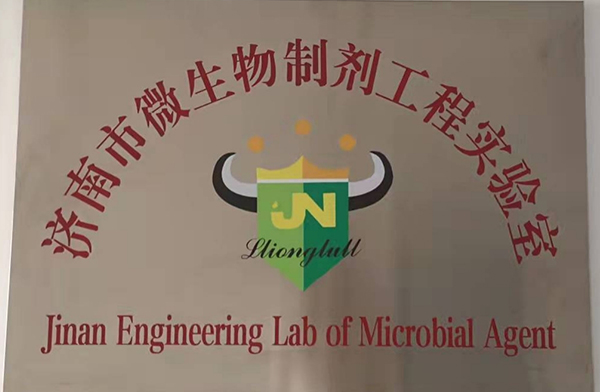 榮譽(yù)資質(zhì)